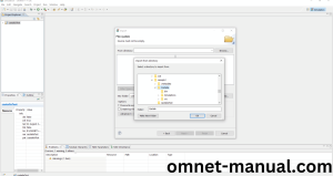 Import Framework in Omnet++